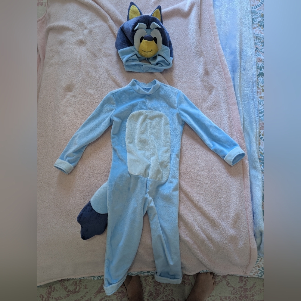 2t Bluey Costume